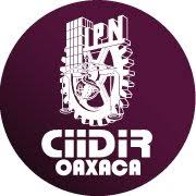 Logo CIIDIR